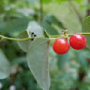 Meet your Posher, Jayden